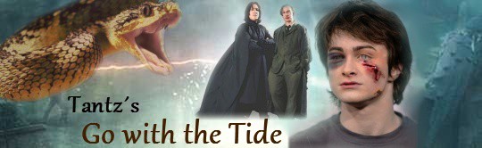 banner-go-with-the-tide.jpg